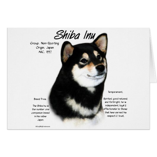 Black Shiba Inu  History  (Front Horizontal)