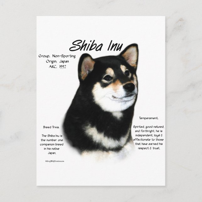 Black Shiba Inu  History  Postcard (Front)