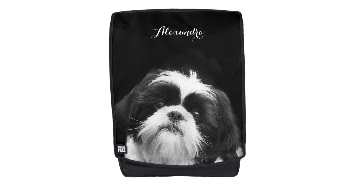 black Shih Tzu dog boldface backpack Zazzle