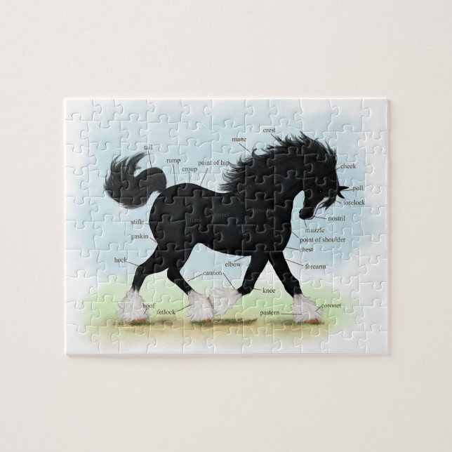 Black Shire Horse Educational Anatomical Chart Jigsaw Puzzle (Horizontal)