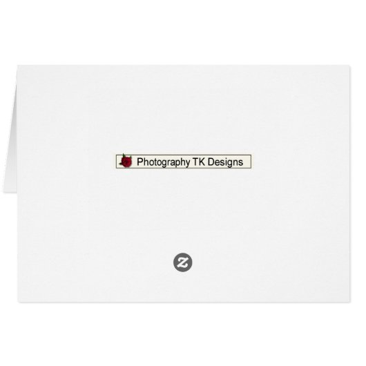 Black Shopping Spree Money Enclosed (Back Horizontal)