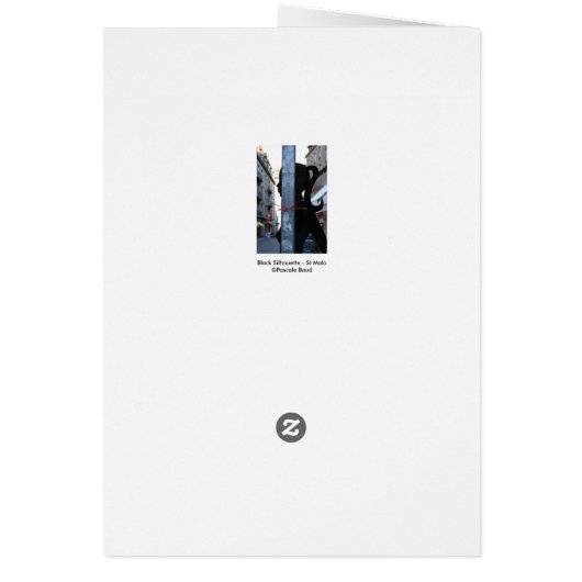 Black Silhouette in the Street Photography (Back)