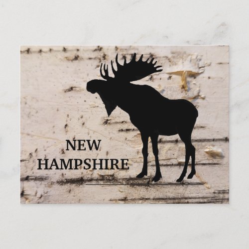 Black silhouette moose on birch bark  postcard
