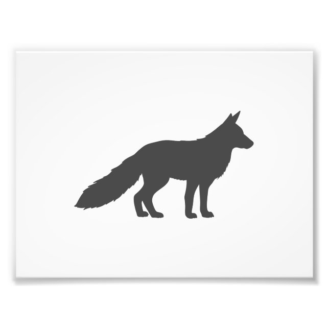 Black silhouette of a fluffy Fox Photo Print (Front)