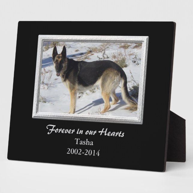 Black Silver Frame Pet Memorial Template (Side)