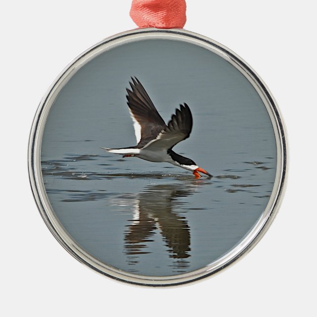 Black Skimmer Photo Metal Ornament (Front)