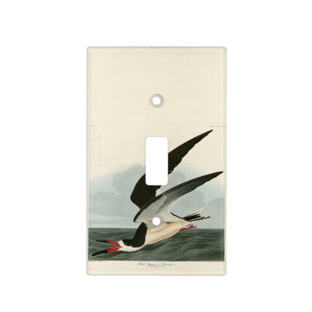 Black Skimmer, Shearwater Audubon Birds of America Light Switch Cover (Front)