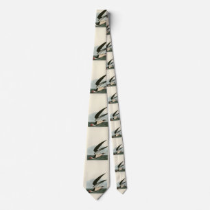 Black Skimmer, Shearwater Audubon Birds of America Neck Tie