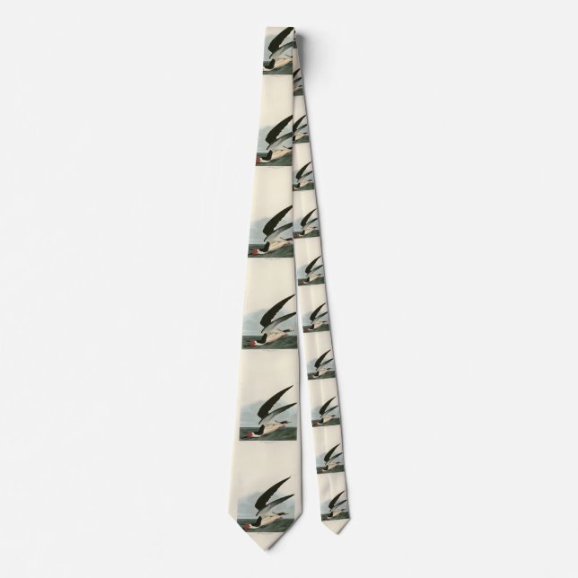 Black Skimmer, Shearwater Audubon Birds of America Neck Tie (Front)