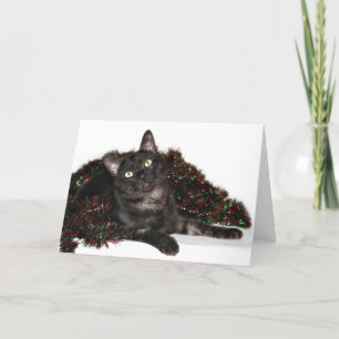 Black smoke cat Christmas Holiday Card
