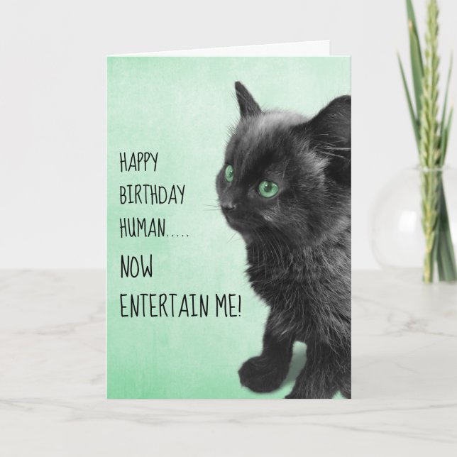 Black Smoke Kitten Card (Front)