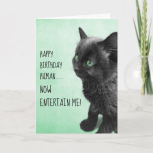 Black Smoke Kitten Card