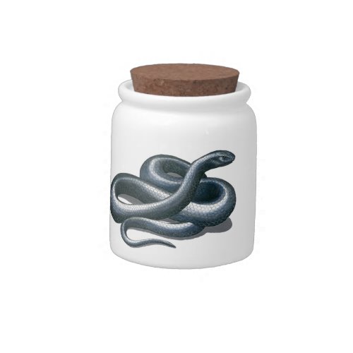 Black Snake Candy Jar