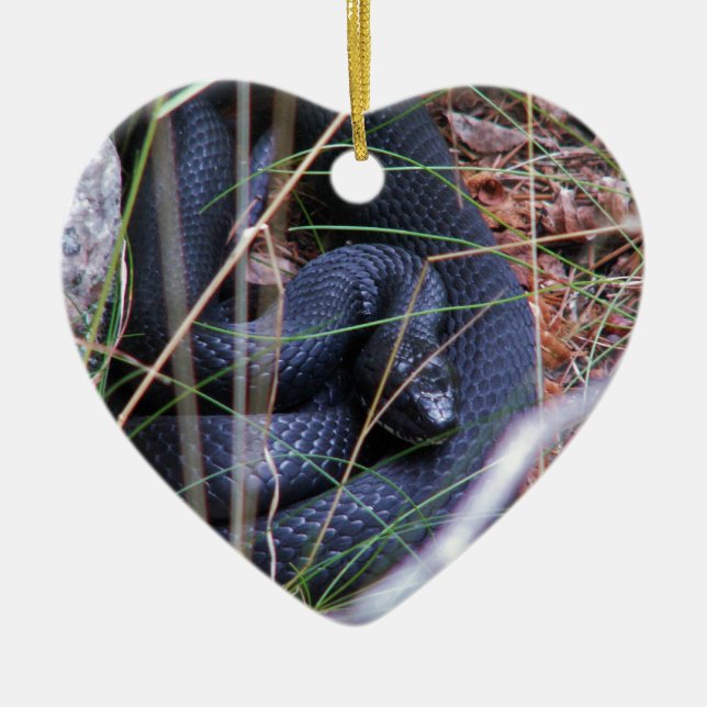 Black snake ceramic ornament (Front)