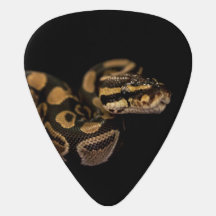 Black Snake Guitar Pick