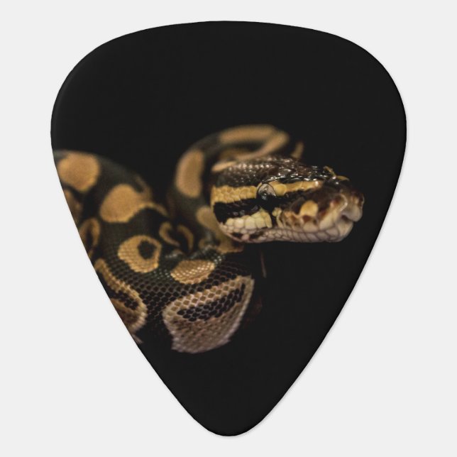 Black Snake Guitar Pick (Front)
