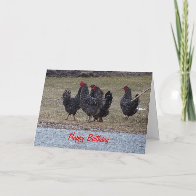 Black Speckled Chickens, Birthday Card (Front)
