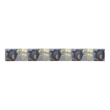 Black Spectacled Bear Grosgrain Ribbon by WildlifeAnimals at Zazzle