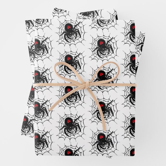 Black Spider in Web Wrapping Paper Sheets (In situ)