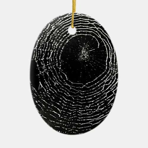 Black Spider Web Ornament