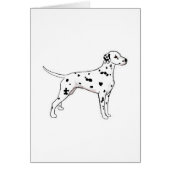 Black-Spotted Dalmatian (Front)