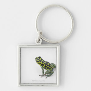 Black Spotted Green Poison Dart Frog Keychain