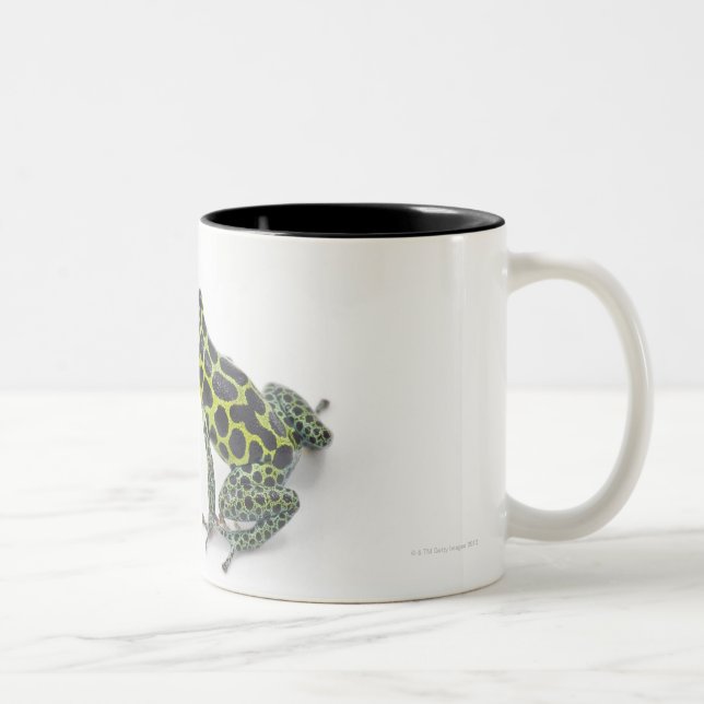 Black Spotted Green Poison Dart Frog Two-Tone Coffee Mug (Right)