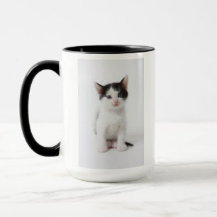 Black Spotted Kitten Mug