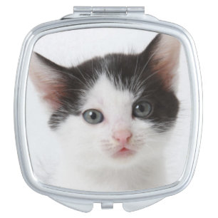 Black Spotted Kitten Vanity Mirror
