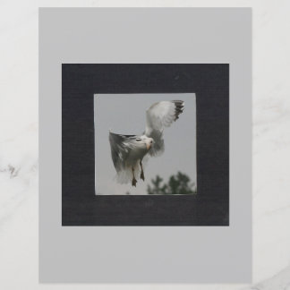 Black Square on Gray Photo Frame