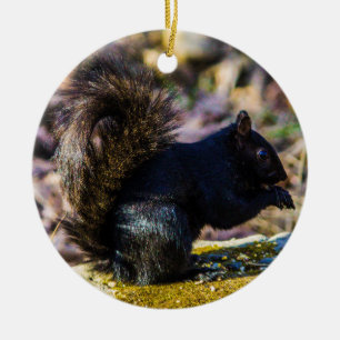 Black Squirrel Ceramic Ornament