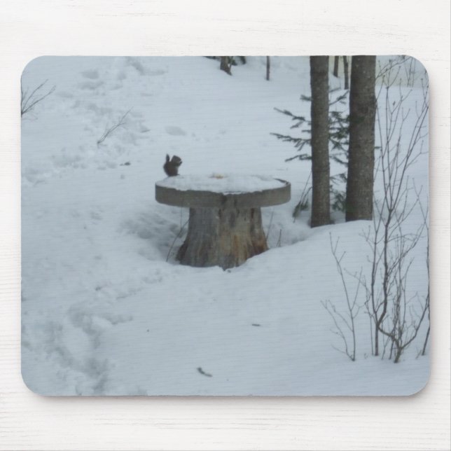  Black Squirrel Having Breafast Mouse Pad (Front)