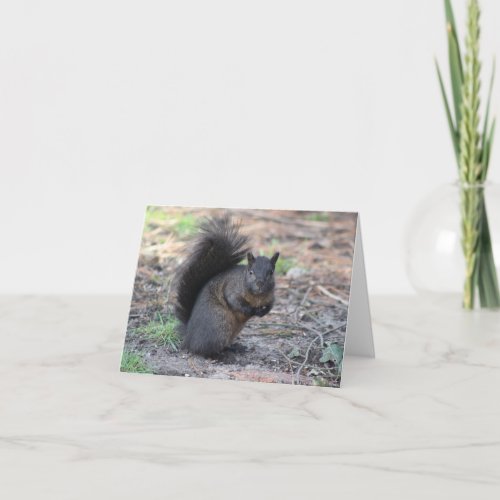 Black Squirrel Note Card