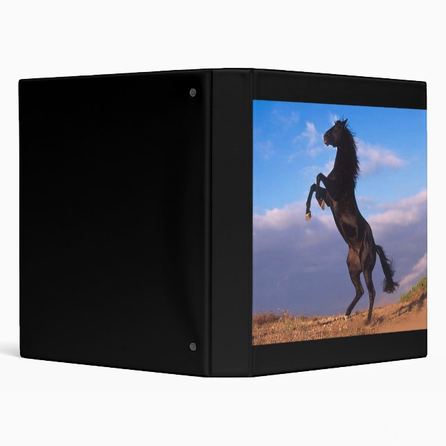 Black Stallion 3 Ring Binder (Background)