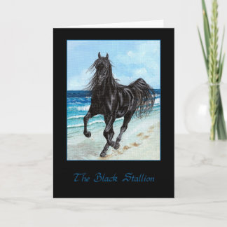 Black Stallion Arabian horse greeting card