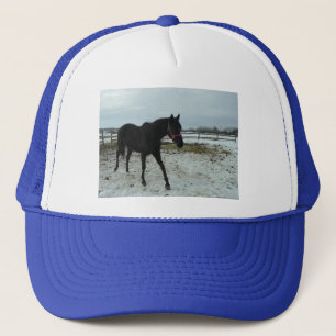 Black Stallion Beauty Trucker Hat