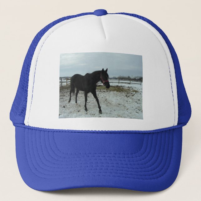 Black Stallion Beauty Trucker Hat (Front)