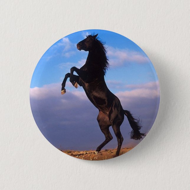 Black Stallion Button (Front)