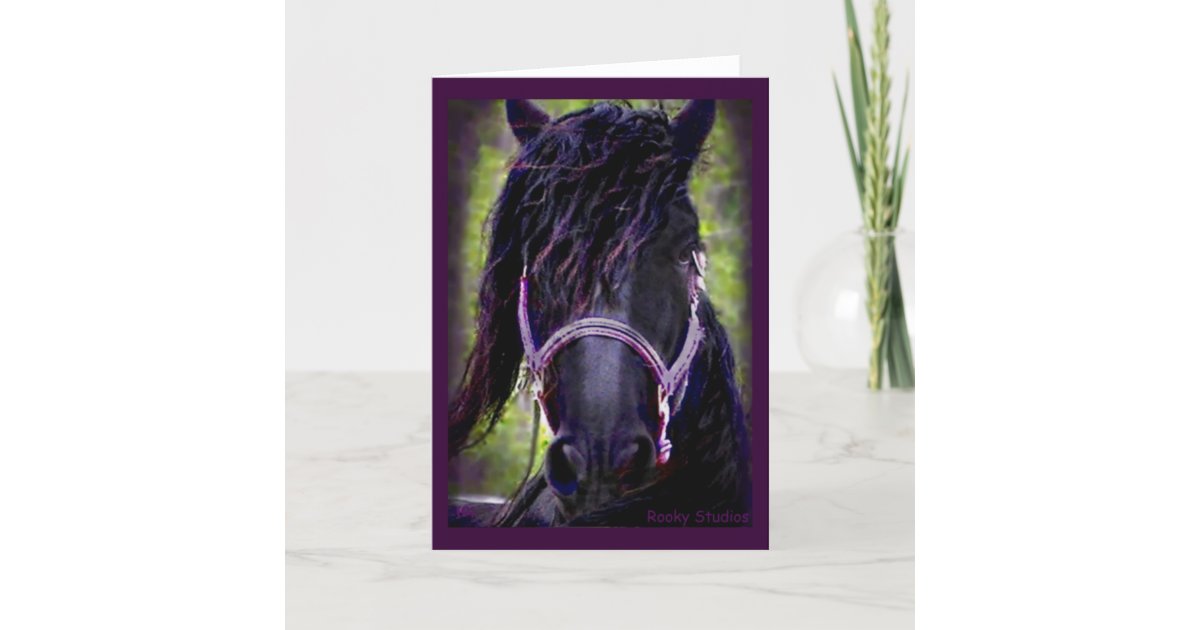 Black Stallion Card | Zazzle