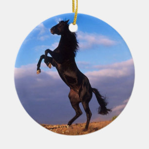 Black Stallion Ceramic Ornament