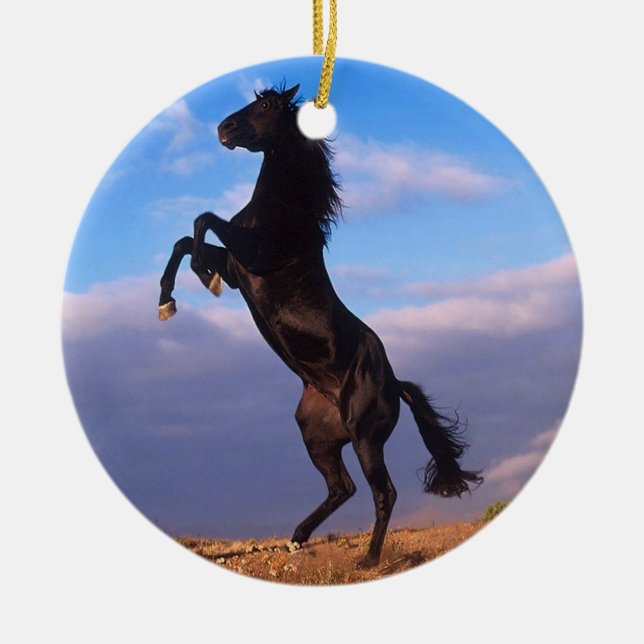 Black Stallion Ceramic Ornament (Front)