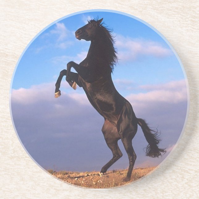 Black Stallion Drink Coaster (Front)