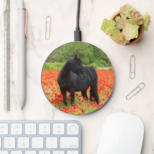 Black Stallion Horse in Poppy Field Wireless Char