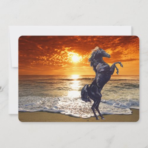 Black Stallion Horse On The Beach Holiday Card