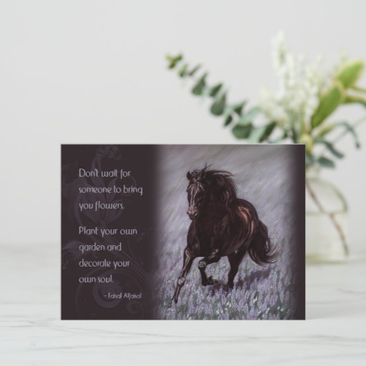 Black Stallion in a Field of Dreams (Standing Front)