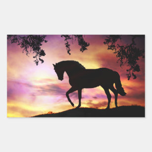 Beautiful Black Friesian Horse Women/'s Tee Image by Shutterstock