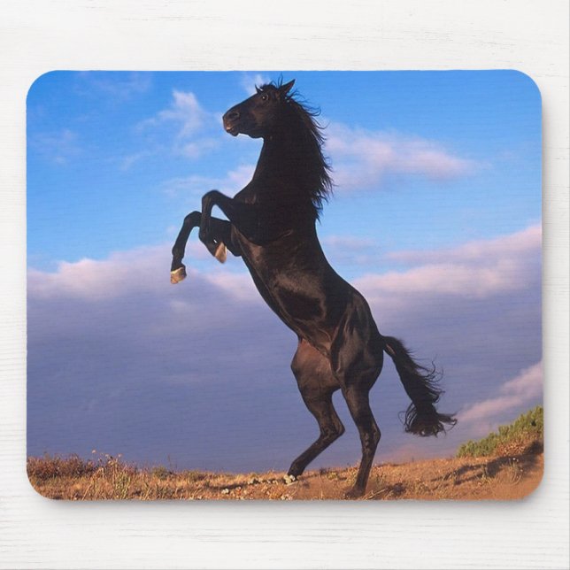 Black Stallion Mouse Pad (Front)