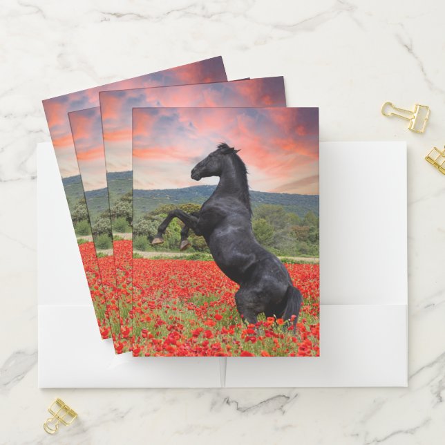 Black Stallion Pocket Folder (In Situ)