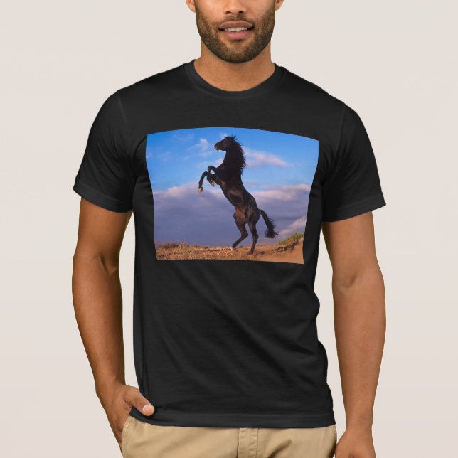 Black Stallion T-Shirt (Front)