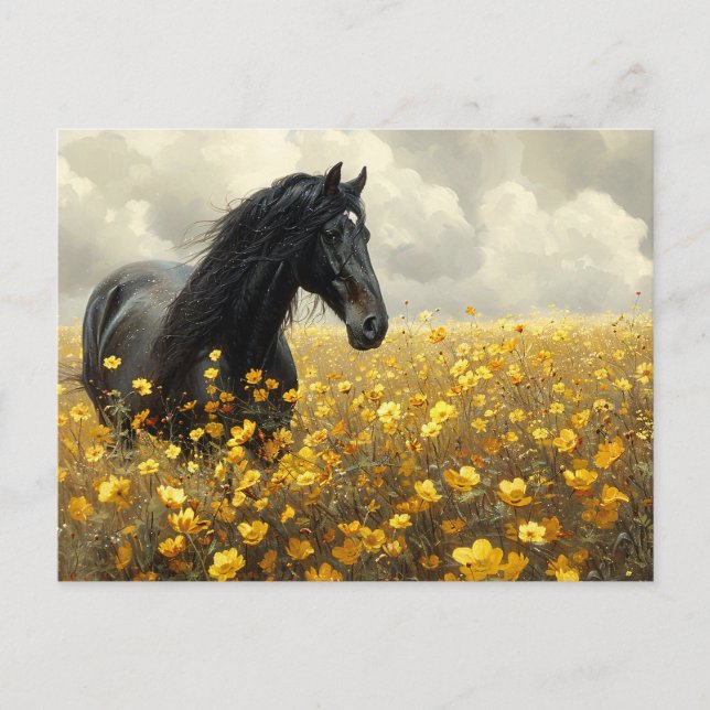 Black Stallion with Yellow Wildflowers Postcard (Front)